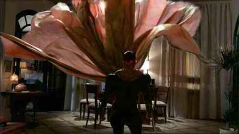 Wings? Cape? Stained sheets?